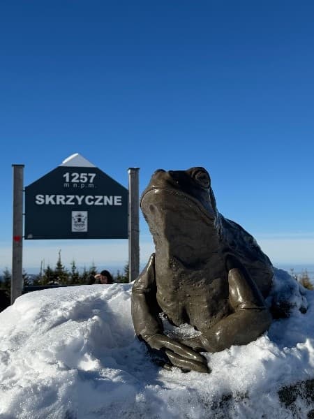 Silesian Beskids